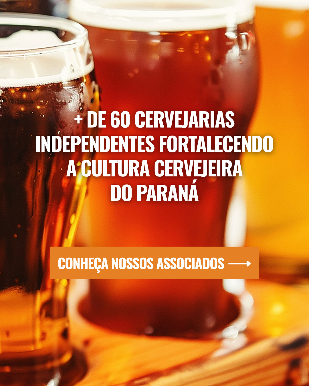 Mais de 60 cervejarias independentes fortalecendo a cultura cervejeira do Paraná